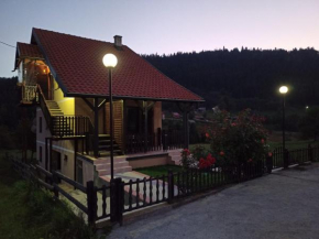 Apartman IZVOR Tara
